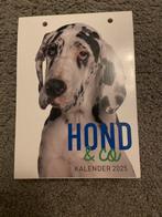 Edicola Publishing - Hond & Co scheurkalender 2025, Honden, Nieuw, Edicola Publishing, Ophalen of Verzenden
