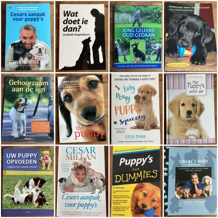 Puppy opvoeding hond boeken 3 halen = 2 betalen, Boeken, Dieren en Huisdieren, Honden, Ophalen of Verzenden