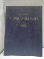 Wunder in der Natur, Karl Blossfeldt, Gelezen, Bloemen, Planten en Bomen, Ophalen of Verzenden, Zie beschrijving