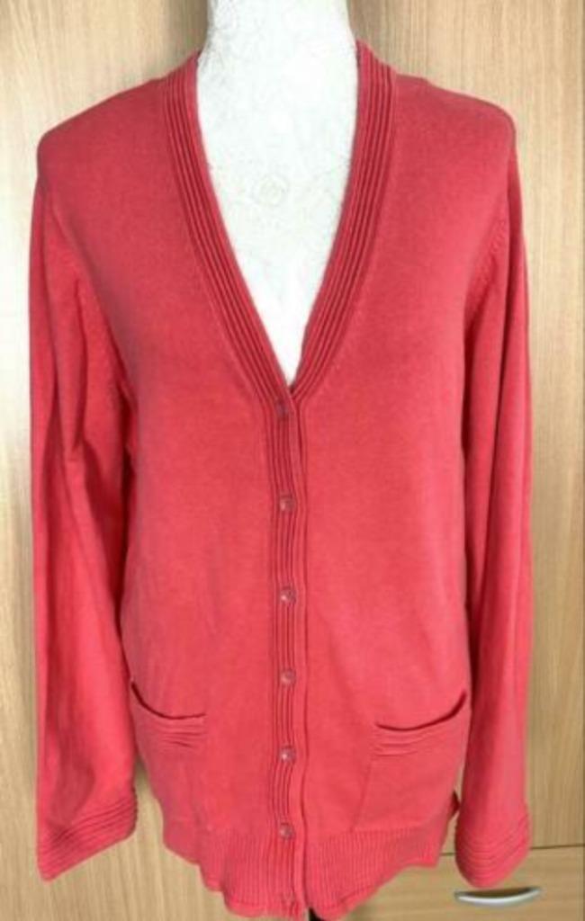 Roberto Sarto vest maat L [DM], Kleding | Dames, Truien en Vesten, Zo goed als nieuw, Maat 42/44 (L), Overige kleuren, Ophalen of Verzenden