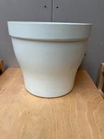 Grote tulipa bloempot beige creme steen dia 31 cm, Tuin en Terras, Bloempotten, Ophalen, Steen, Rond, Zo goed als nieuw