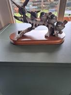 5 musjes op besneeuwde tak porselein  ., Antiek en Kunst, Ophalen of Verzenden