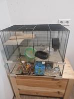 Hamsterkooi met toebehoren 60x40x50 cm., Dieren en Toebehoren, Knaagdieren en Konijnen | Hokken en Kooien, Kooi, Minder dan 75 cm