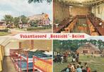 Beilen   Boszicht, Verzenden, 1960 tot 1980, Gelopen, Drenthe