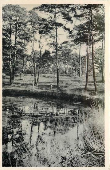 (388-393-027) Driebergen-Rijsenburg De Koekepan beschikbaar voor biedingen