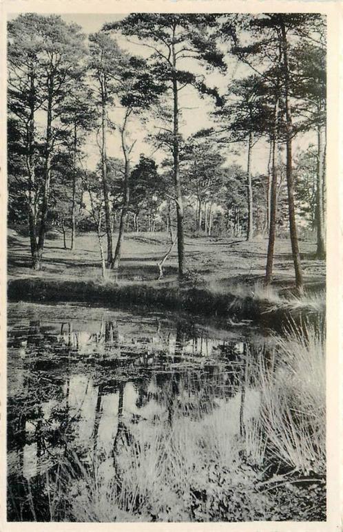 (388-393-027) Driebergen-Rijsenburg De Koekepan, Verzamelen, Ansichtkaarten | Nederland, Utrecht, Verzenden