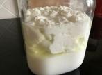 Kefir-korrels/ voor melk, Ophalen of Verzenden