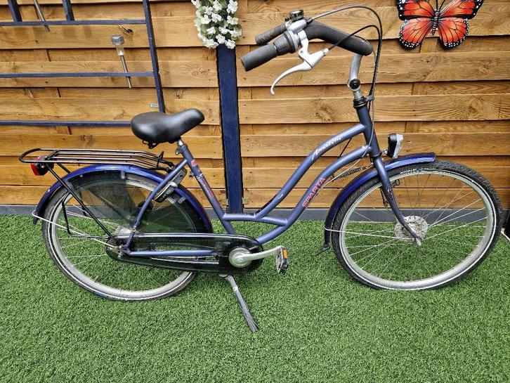 Moederfiets Sparta, Fietsen en Brommers, Fietsen | Dames | Moederfietsen, Gebruikt, Sparta, 47 tot 50 cm, 0 zitjes, Dubbele standaard