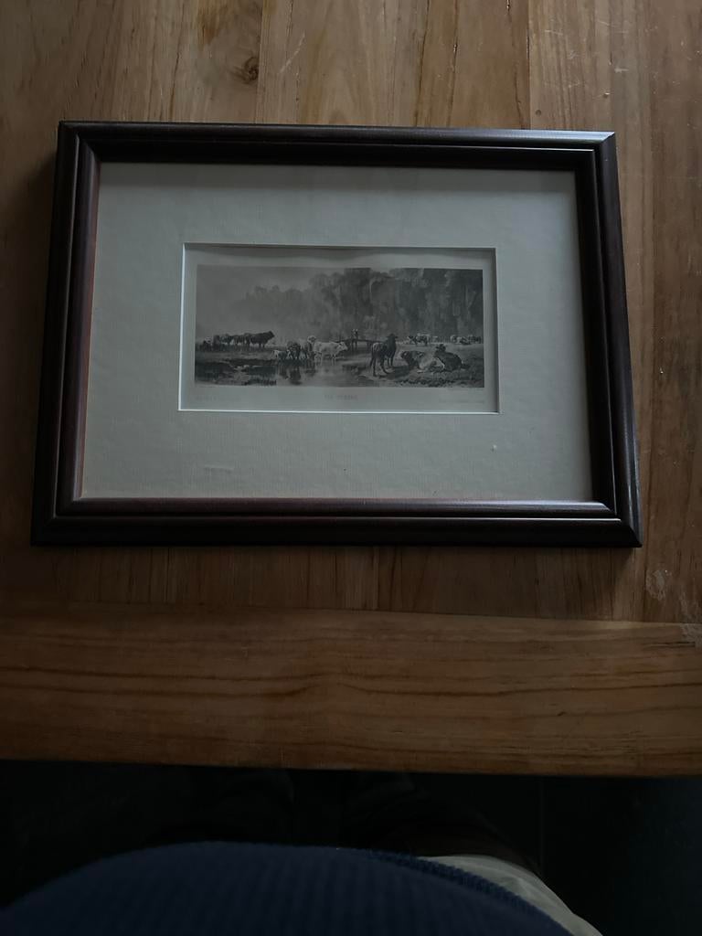 Oude prent met koeien bij de rivier, Ophalen of Verzenden