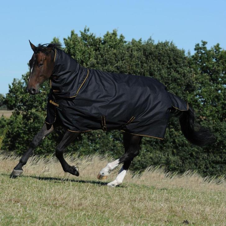 Bucas Irish Turnout 50gr +Hals, 175, 183, 191, 198, 206, 213, Dieren en Toebehoren, Paarden en Pony's | Dekens en Dekjes, Nieuw