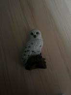 Mooie Uil Beeld plastic, Ophalen of Verzenden, Zo goed als nieuw, Kunststof, Dierenbeeld