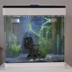 Leuk aquarium (circa 35 liter aquarium), Dieren en Toebehoren, Vissen | Aquaria en Toebehoren, Ophalen, Gebruikt, Gevuld zoetwateraquarium
