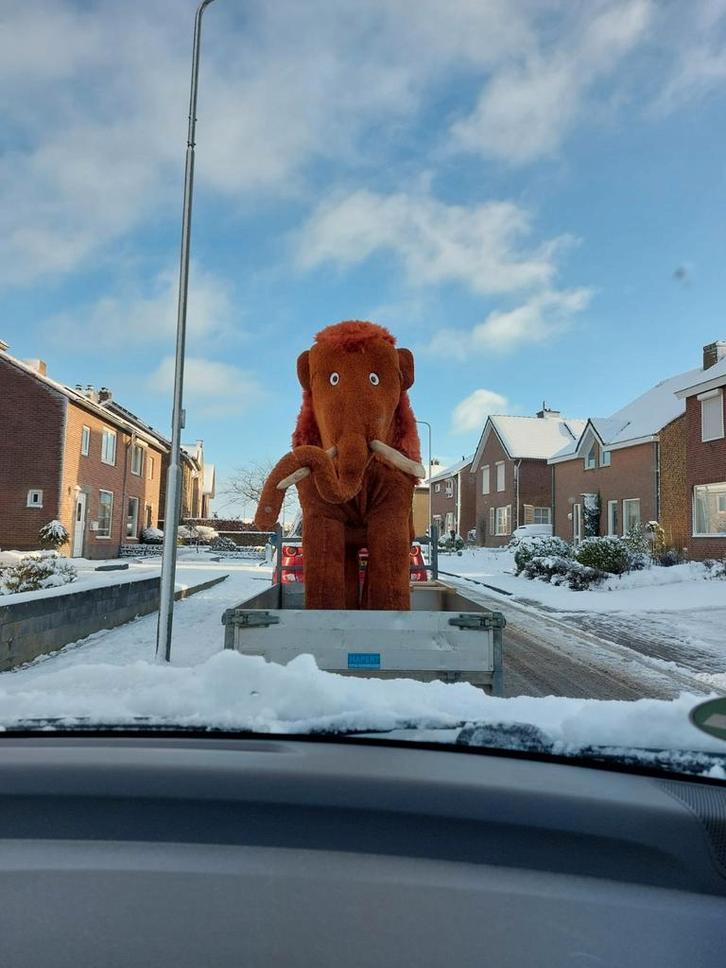 opvallende mammoet, Hobby en Vrije tijd, Feestartikelen, Zo goed als nieuw, Versiering, Carnaval, Ophalen of Verzenden