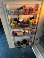 Pelgrim Koelkast KB8200M/P01 - Goed Onderhouden, Witgoed en Apparatuur, 150 tot 200 liter, Energieklasse A of zuiniger, 45 tot 60 cm