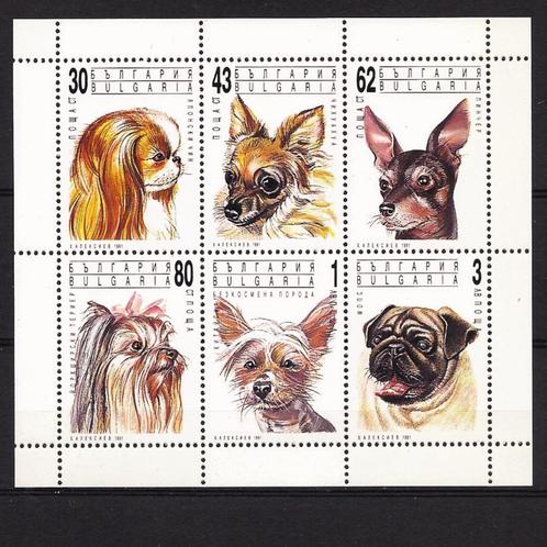 hond serie KB vel Bulgarije 1991 postfris 6 zegels, Postzegels en Munten, Postzegels | Thematische zegels, Postfris, Dier of Natuur