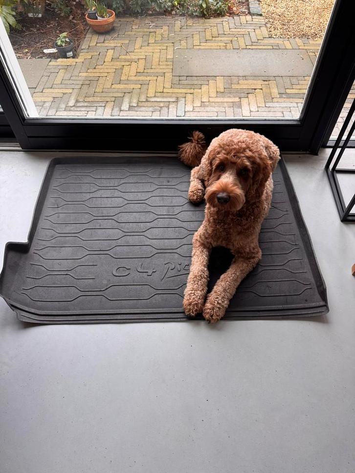 Rubber Achterbak Mat Citroen C4 Picasso, Auto diversen, Kofferbakmatten, Gebruikt, Ophalen of Verzenden