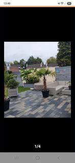 Tegels 42 x 21 x 6.  Ongeveer 70m2. Tegels liggen 3 jaar., Ophalen