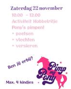 Pimp my pony, Dieren en Toebehoren, Paarden en Pony's | Verzorgingsproducten, Ophalen, Nieuw
