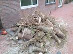 Haard hout gratis, Tuin en Terras, Haardhout, 3 tot 6 m³, Ophalen, Overige houtsoorten, Stammen
