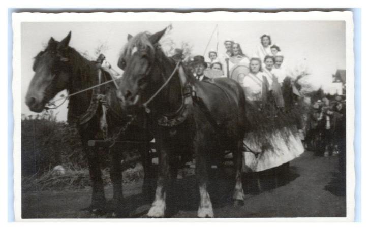 Optocht, onbekende locatie, Verzamelen, Ansichtkaarten | Themakaarten, Ongelopen, 1940 tot 1960, Feest(dag), Verzenden