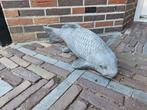 Betonbeeld koi karper, Ophalen, Nieuw, Beton, Dierenbeeld