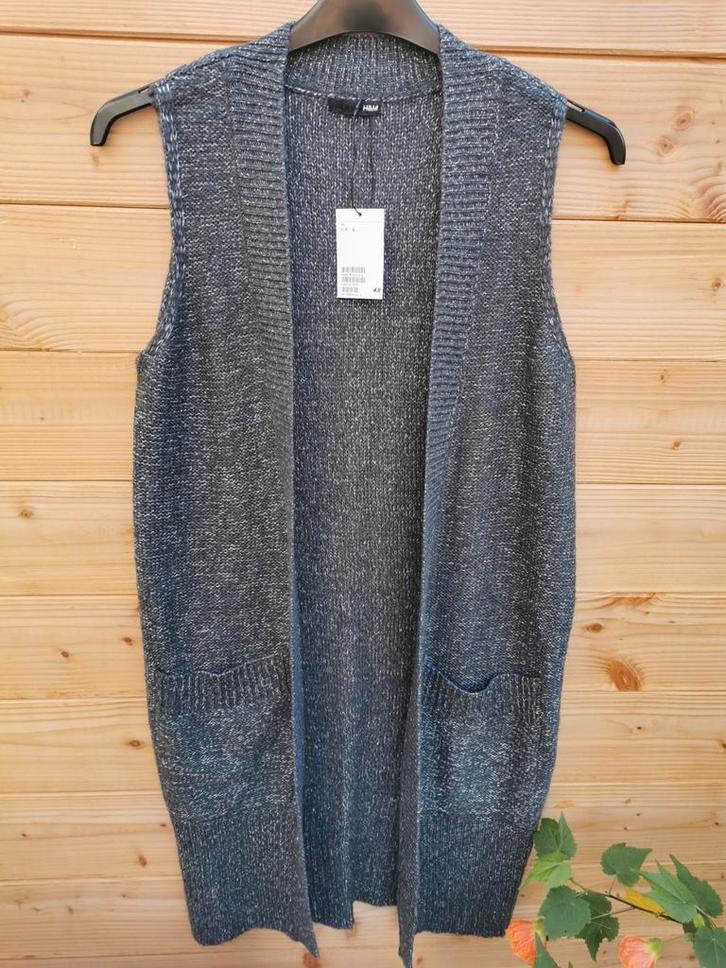 H&M wolmix gilet mt. S/M, Kleding | Dames, Truien en Vesten, Nieuw, Maat 36 (S), Grijs, Verzenden