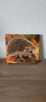 Nr.305 handgemaakt houten wandbordje, egeltje. Kadotip?, Ophalen of Verzenden