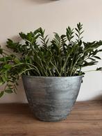 Grijze/zilveren bloempotten, Tuin en Terras, Bloempotten, Ophalen, Rond, Binnen, Aardewerk