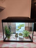 Aquarium met toebehoren, Ophalen, Gebruikt