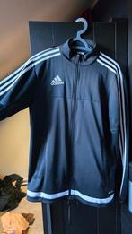 adidas trainingspak maat S, Kleding | Heren, Ophalen of Verzenden, Gedragen