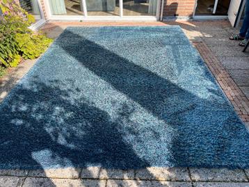 Blauw Benuta Sophie Tapijt 240x340 beschikbaar voor biedingen