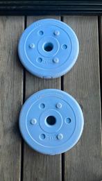 Halterschijven 2x 2,5kg licht paars 31mm, Ophalen of Verzenden, Zo goed als nieuw