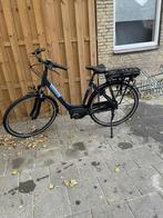 Gazelle, 51 tot 55 cm, Ophalen of Verzenden, Zo goed als nieuw, Gazelle