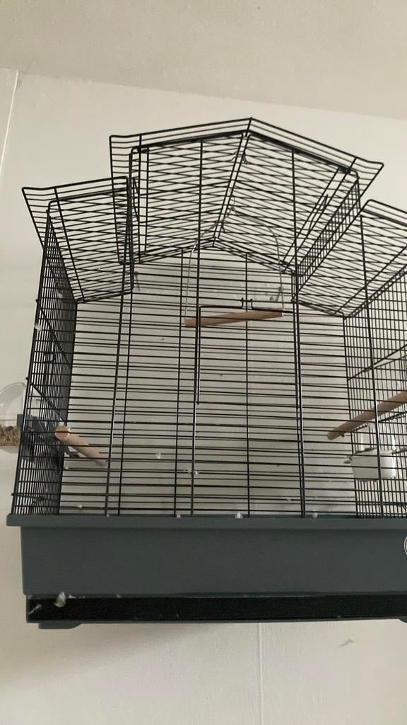 Vogel kooi, Ophalen, Zo goed als nieuw, Metaal, Vogelkooi