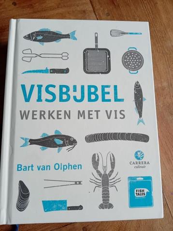 Visbijbel beschikbaar voor biedingen