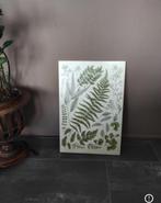 Botanische Illustratie op Hout - Vintage Floral, Ophalen of Verzenden