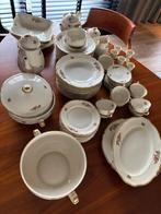 Prachtig vintage porseleinen servies – Haas & Czjzek, Antiek en Kunst, Ophalen of Verzenden