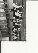 Wenen Spaanse Rijschool Quadrule, Verzenden, 1940 tot 1960, Ongelopen, Oostenrijk