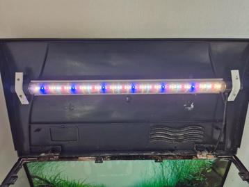 Zonsopganglamp aquarium met automatisch kastje via app beschikbaar voor biedingen