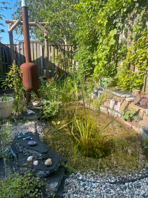 Ecologisch Hovenier, Diensten en Vakmensen, Tuinmannen en Stratenmakers, Tuin- of Vijveraanleg, Tuinonderhoud of Snoeiwerk, Tuinontwerp