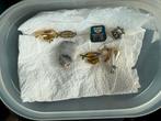 Vintage sieraden, Ophalen of Verzenden, Overige materialen