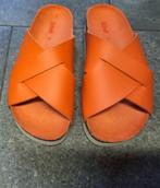 SCHOLL slippers maat 38 NIEUW, Scholl, Nieuw, Oranje, Ophalen