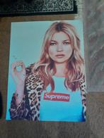 SUPREME POSTER KATE MOSS. VERRY DOPE. ON VYNILL, Rechthoekig Staand, Ophalen of Verzenden, Zo goed als nieuw, Canvas of Doek