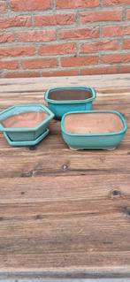 BONSAI schalen, Ophalen, Rond, Steen, Minder dan 30 cm