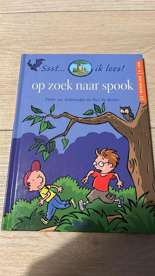 Pieter van Oudheusden - Op zoek naar spook, Boeken, Kinderboeken | Jeugd | onder 10 jaar, Zo goed als nieuw, Ophalen of Verzenden