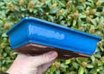 Bonsai schaal lila geglazuurd Koreaans 20,5x15,4x5,1, Ophalen of Verzenden, Zo goed als nieuw, Minder dan 25 cm, Aardewerk