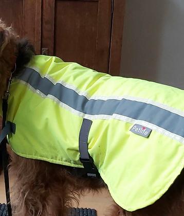 Hondenregenjas met reflectie beschikbaar voor biedingen