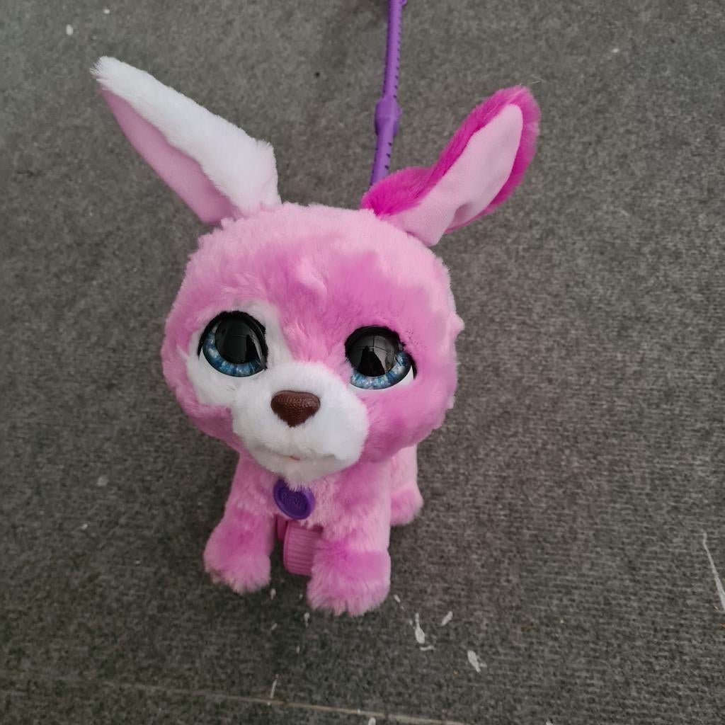 Furreal Hondje - Nieuw!, Ophalen of Verzenden, Nieuw, Hond