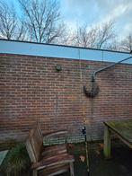 Karperhengel Lion met terugloop molen, Watersport en Boten, Hengelsport | Witvissen, Ophalen