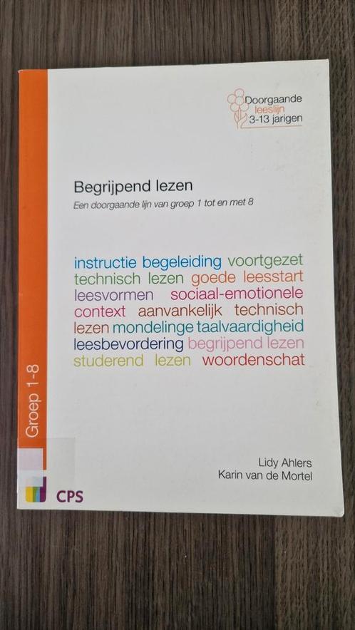 Lidy Ahlers - Begrijpend Lezen, Boeken, Kinderboeken | Jeugd | onder 10 jaar, Zo goed als nieuw, Ophalen of Verzenden